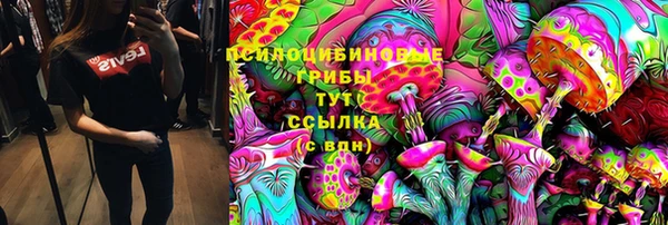 соль ск Медвежьегорск
