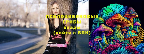 молекула духа Мегион