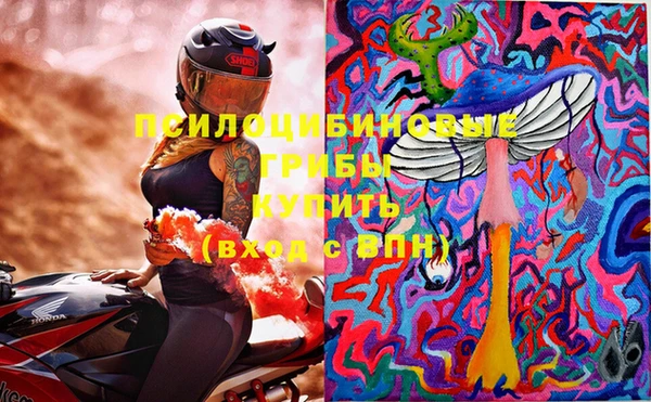 молекула духа Мегион