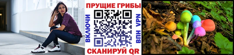 купить наркотики цена  Батайск  Псилоцибиновые грибы GOLDEN TEACHER 