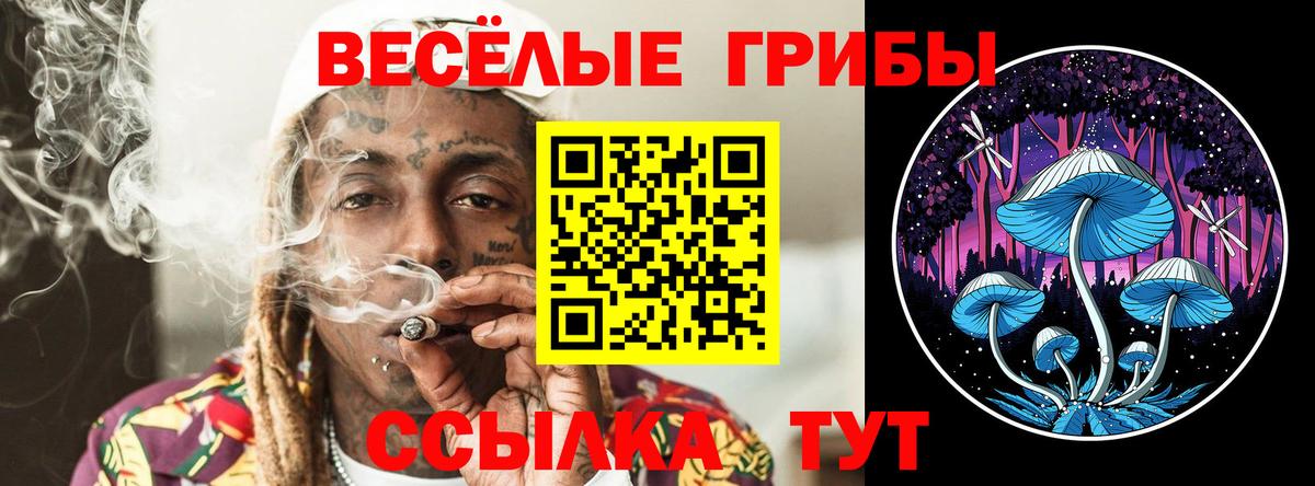 Псилоцибиновые грибы Psilocybine cubensis  Батайск 